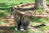 img033.jpeg.small.jpeg