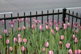 img044.jpeg.small.jpeg