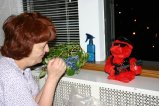 img047.jpeg.small.jpeg