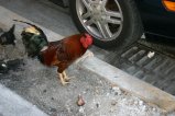 img059.jpeg.small.jpeg