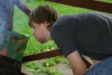 img031.jpeg.small.jpeg