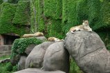 img011.jpeg.small.jpeg