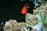 img015.jpeg.small.jpeg