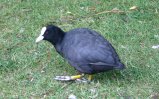 img055.jpeg.small.jpeg