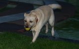 img078.jpeg.small.jpeg