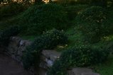 img022.jpeg.small.jpeg