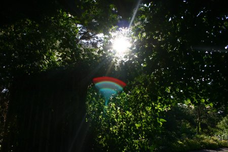 img032.jpeg.medium.jpeg