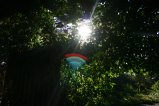 img032.jpeg.small.jpeg