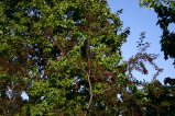 img034.jpeg.small.jpeg