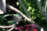 img035.jpeg.small.jpeg