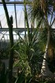 img041.jpeg.small.jpeg