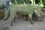 img047.jpeg.small.jpeg