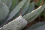 img049.jpeg.small.jpeg