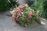 img053.jpeg.small.jpeg