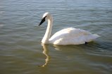 img059.jpeg.small.jpeg
